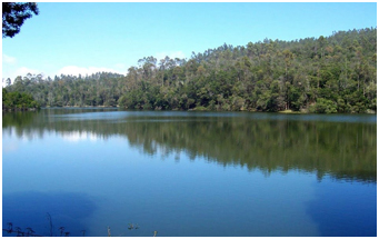 Place to see Kodaikanal