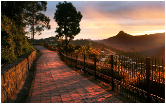 Place to see in Kodaikanal Cockers walk